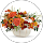 Exotica Florist