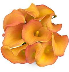 Mini Calla Lily Orange Mango 50 cm