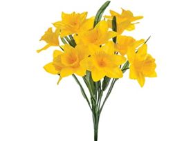 Daffodils