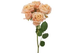 Spray Rose Sahara