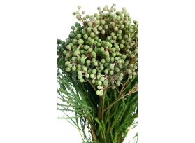 Berzila Berries