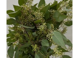 wholesale seeded eucalyptus greenery bulk Maryland supplier