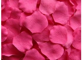 Rose Petals Hot Pink - 1000 petals
