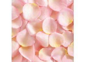 Rose Petals Light Pink - 1000 petals