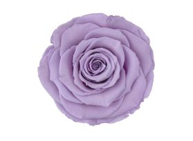 Preserved Lavender Roses