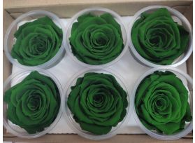 Preserved Green Roses