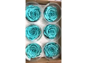 Preserved Tiffany Blue Roses