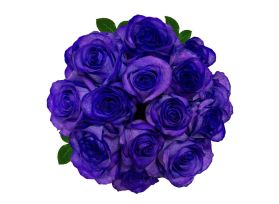 Purple Tinted Roses