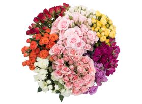 Spray Roses Assorted