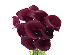 Mini Calla Lily Cranberry 50 cm