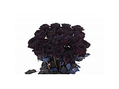 Black Tinted Roses