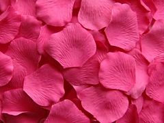 Rose Petals Hot Pink - 1000 petals