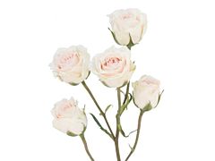 Spray Rose White Majolika