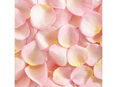 Rose Petals Light Pink - 1000 petals