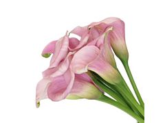 Mini Calla Lily Light Pink Petite