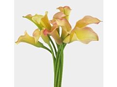 Mini Calla Lily Peach 50 cm