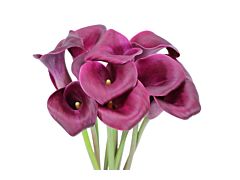 Mini Calla Lily Purple 50 cm