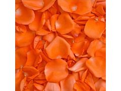 Rose Petals Orange - 1000 petals