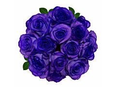 Purple Tinted Roses