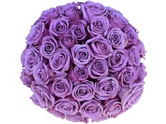 Purple Roses  - 40 cm Pack 125