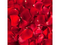 Rose Petals Red - 1000 petals