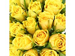 Sweetheart Roses Yellow