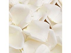 Rose Petals White - 1000 petals