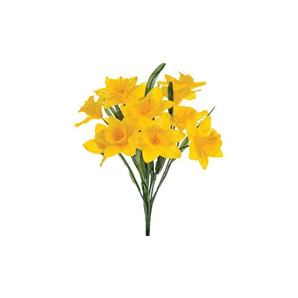 Daffodils