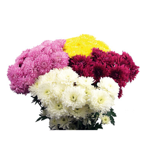 cushion poms — assorted