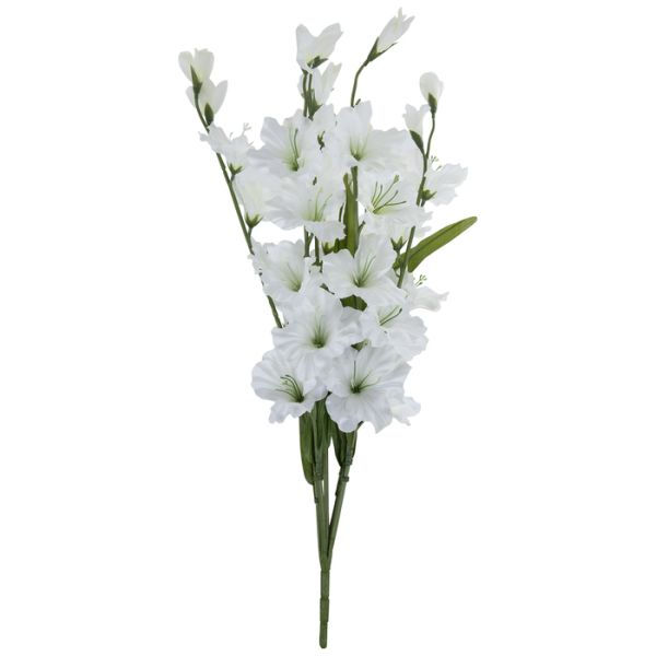 Gladioulus — white