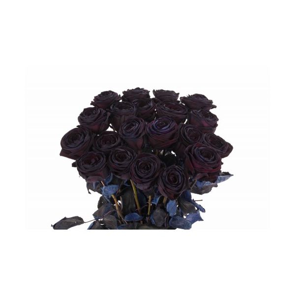 Black Tinted Roses