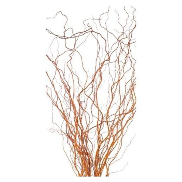 Curly Willow Tips