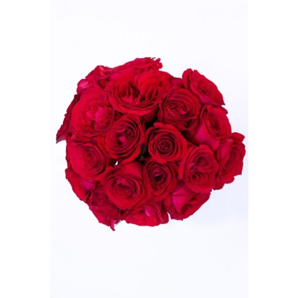 Garden Crimson Spell