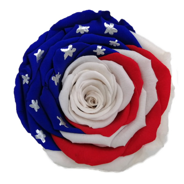 Peach Preserved Roses