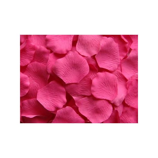 Hot Pink Rose Petals, bulk for events