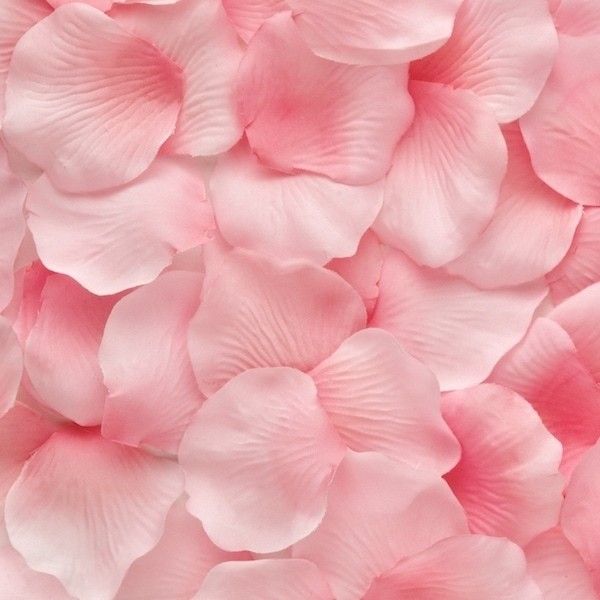 Pink Rose Petals, bulk for events