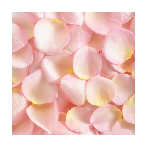 Light Pink Rose Petals, bulk for events