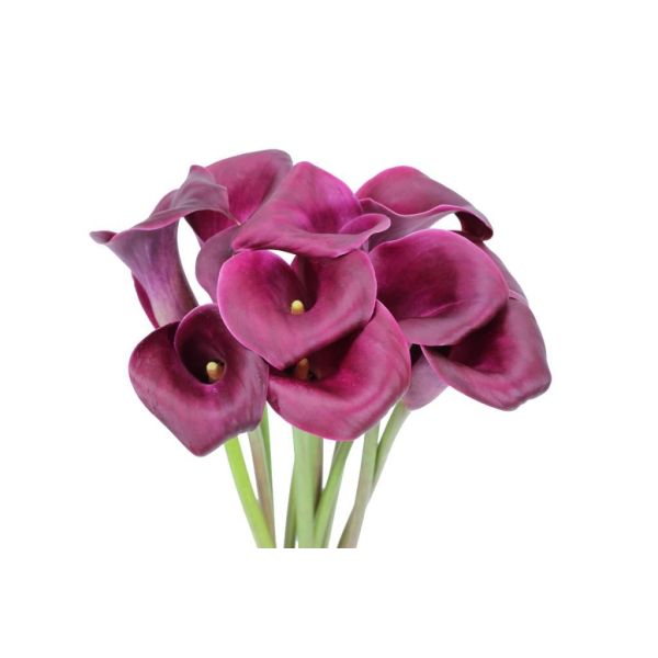 Mini Calla Lily Purple 50 cm