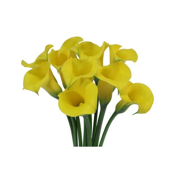 Mini Calla Lily Yellow 50 cm
