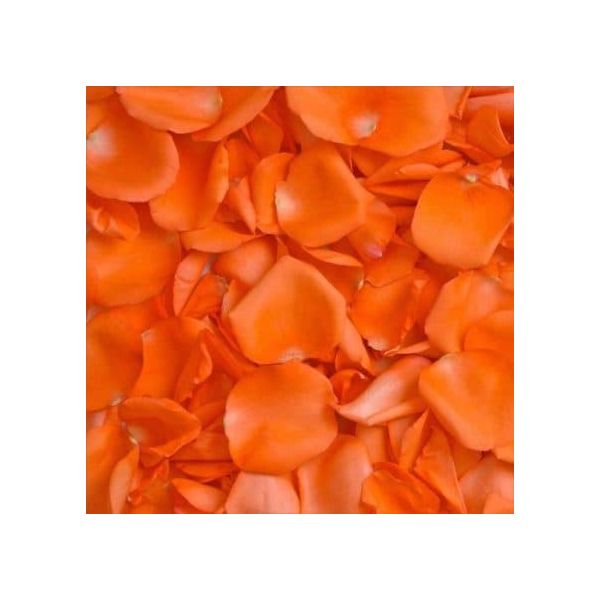 Orange Rose Petals, bulk for events