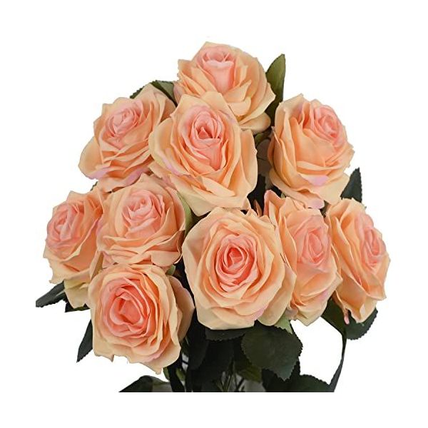 Peach Roses 40 / 50 cm Pack 100