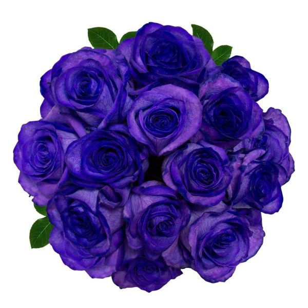 Purple Tinted Roses