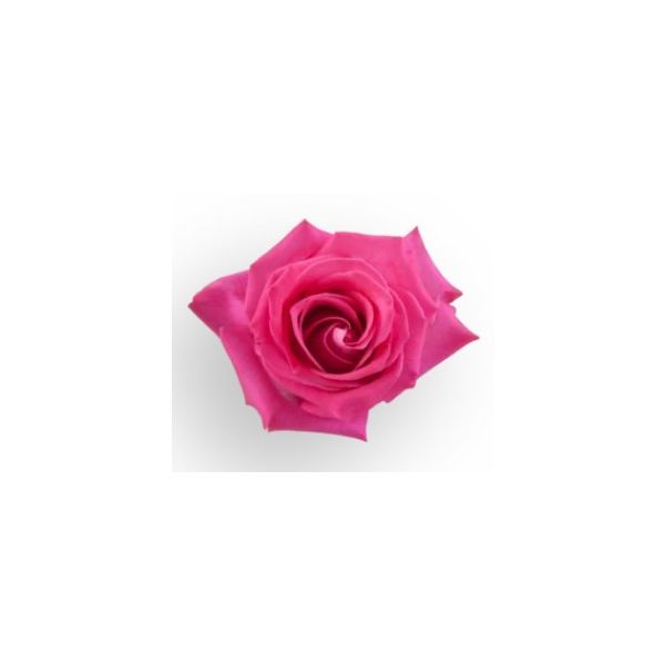 Hot Pink Rose Topaz