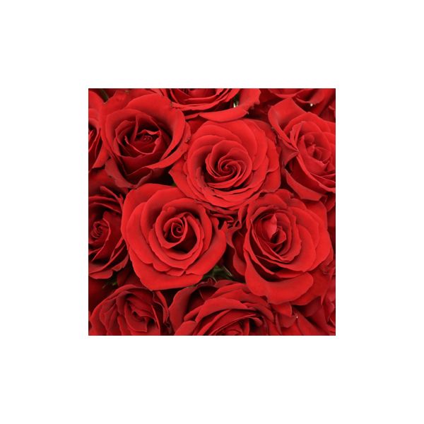 Sweetheart Roses Red