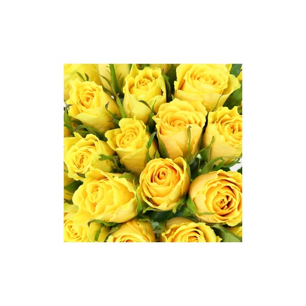 Sweetheart Roses Yellow