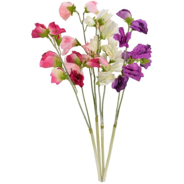 Sweet Peas