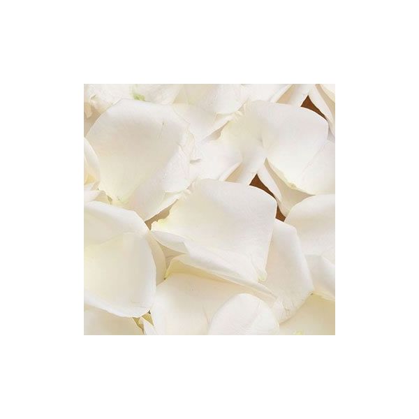 White Rose Petals, bulk for events