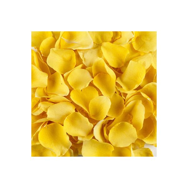Yellow Rose Petals, bulk for events